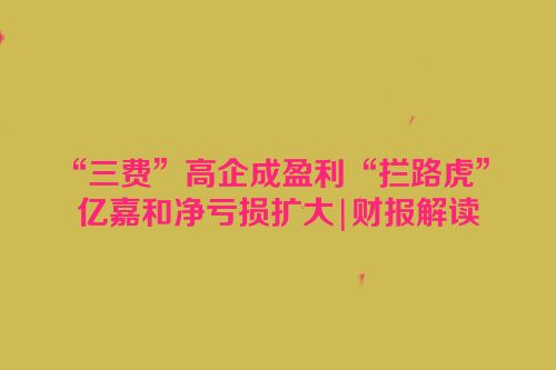 “三费”高企成盈利“拦路虎” 亿嘉和净亏损扩大|财报解读
