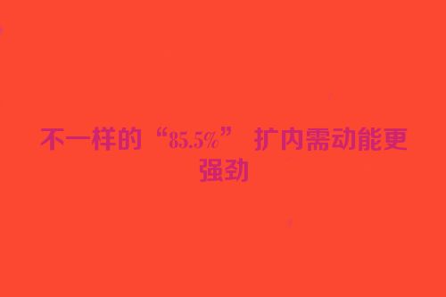 不一样的“85.5%” 扩内需动能更强劲
