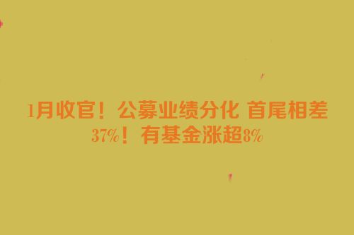 1月收官！公募业绩分化 首尾相差37%！有基金涨超8%