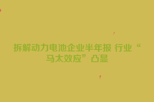 拆解动力电池企业半年报 行业“马太效应”凸显