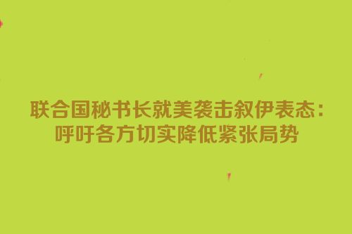 联合国秘书长就美袭击叙伊表态：呼吁各方切实降低紧张局势