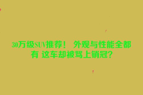 30万级SUV推荐！ 外观与性能全都有 这车却被骂上销冠？