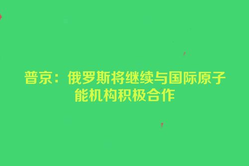 普京：俄罗斯将继续与国际原子能机构积极合作