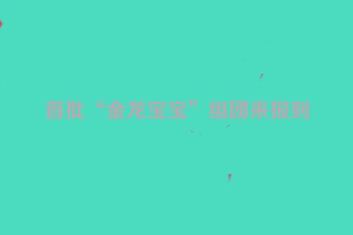 首批“金龙宝宝”组团来报到
