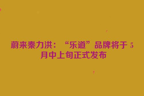蔚来秦力洪：“乐道”品牌将于 5 月中上旬正式发布