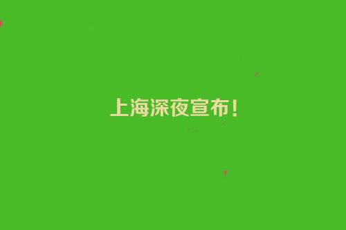 上海深夜宣布！