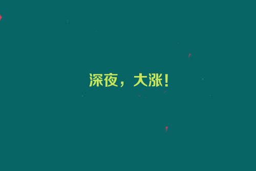 深夜，大涨！