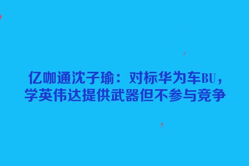 亿咖通沈子瑜：对标华为车BU，学英伟达提供武器但不参与竞争