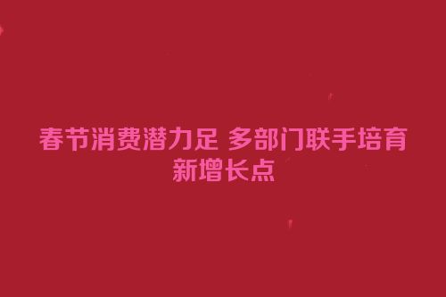春节消费潜力足 多部门联手培育新增长点
