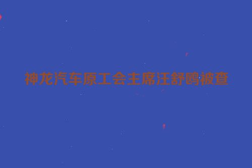 神龙汽车原工会主席汪舒鸥被查