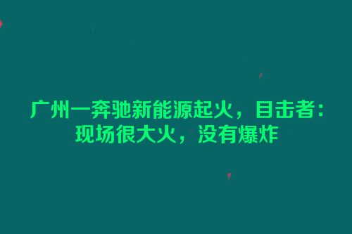 广州一奔驰新能源起火，目击者：现场很大火，没有爆炸