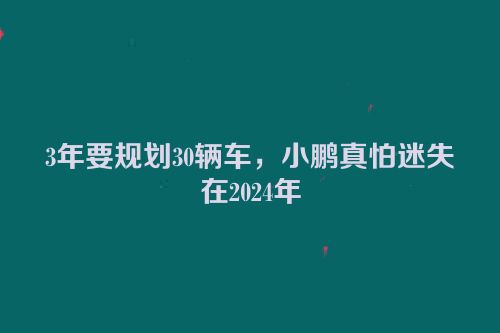3年要规划30辆车，小鹏真怕迷失在2024年