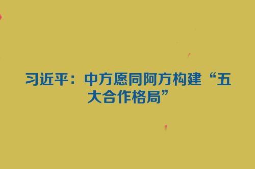 习近平：中方愿同阿方构建“五大合作格局”