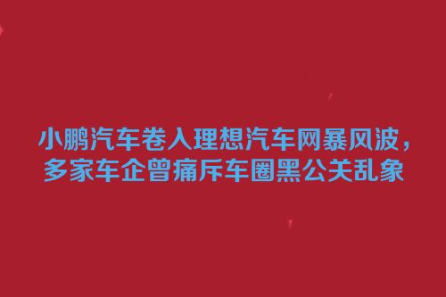 小鹏汽车卷入理想汽车网暴风波，多家车企曾痛斥车圈黑公关乱象