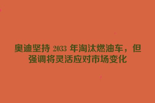 奥迪坚持 2033 年淘汰燃油车，但强调将灵活应对市场变化