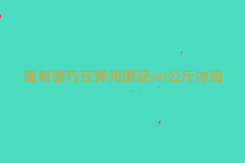 缅甸警方在掸邦缴获603公斤冰毒