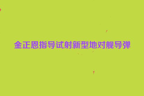 金正恩指导试射新型地对舰导弹