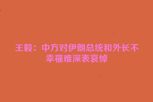 王毅：中方对伊朗总统和外长不幸罹难深表哀悼