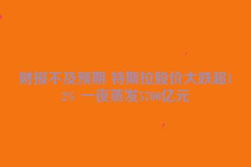 财报不及预期 特斯拉股价大跌超12% 一夜蒸发5700亿元