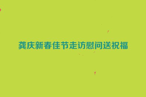 龚庆新春佳节走访慰问送祝福