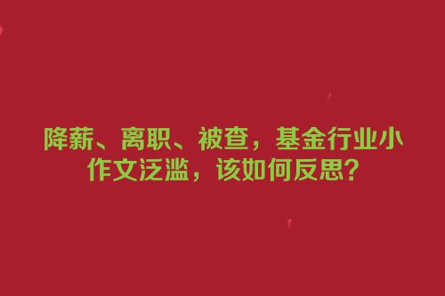 降薪、离职、被查，基金行业小作文泛滥，该如何反思？