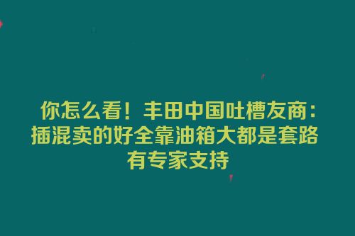 你怎么看！丰田中国吐槽友商：插混卖的好全靠油箱大都是套路 有专家支持