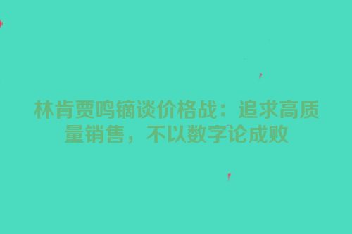 林肯贾鸣镝谈价格战：追求高质量销售，不以数字论成败