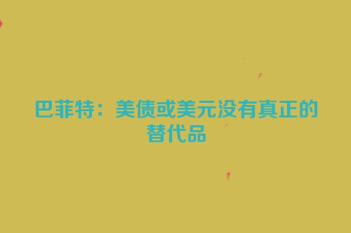 巴菲特：美债或美元没有真正的替代品