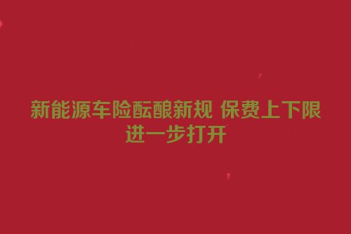 新能源车险酝酿新规 保费上下限进一步打开