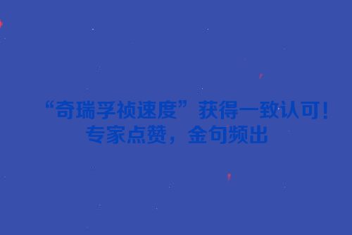 “奇瑞孚祯速度”获得一致认可！专家点赞，金句频出
