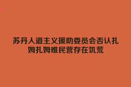 苏丹人道主义援助委员会否认扎姆扎姆难民营存在饥荒