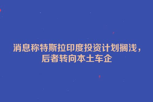 消息称特斯拉印度投资计划搁浅，后者转向本土车企
