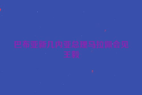 巴布亚新几内亚总理马拉佩会见王毅