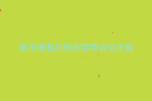 塞尔维亚总统武契奇会见王毅