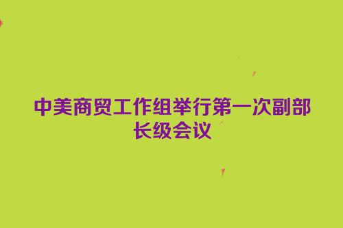 中美商贸工作组举行第一次副部长级会议