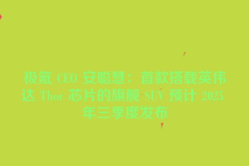 极氪 CEO 安聪慧：首款搭载英伟达 Thor 芯片的旗舰 SUV 预计 2025 年三季度发布