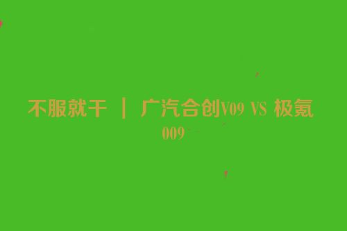 不服就干 ｜ 广汽合创V09 VS 极氪 009