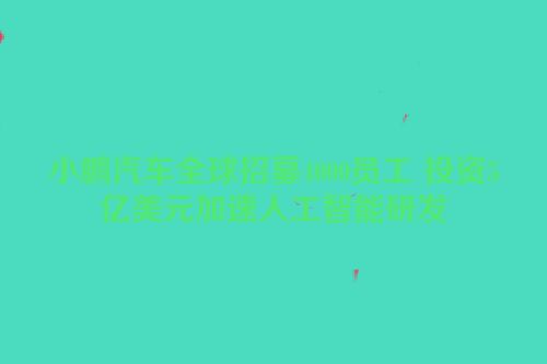 小鹏汽车全球招募4000员工 投资5亿美元加速人工智能研发