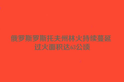 俄罗斯罗斯托夫州林火持续蔓延 过火面积达63公顷