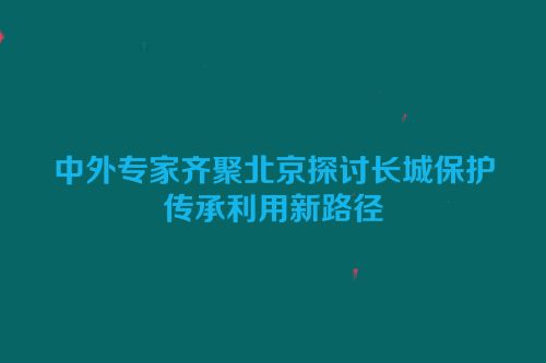 中外专家齐聚北京探讨长城保护传承利用新路径