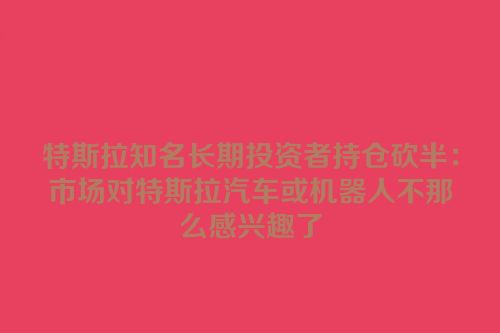 特斯拉知名长期投资者持仓砍半：市场对特斯拉汽车或机器人不那么感兴趣了