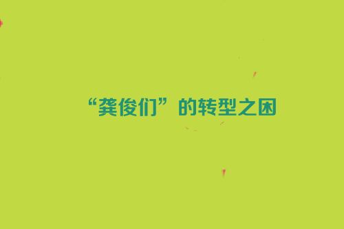 “龚俊们”的转型之困
