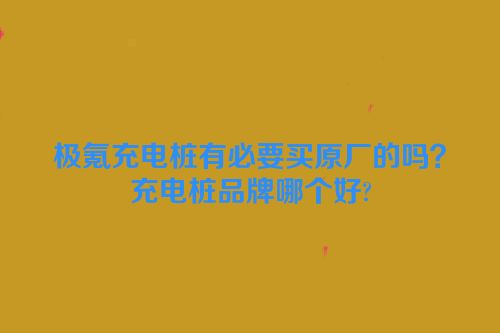 极氪充电桩有必要买原厂的吗？充电桩品牌哪个好?