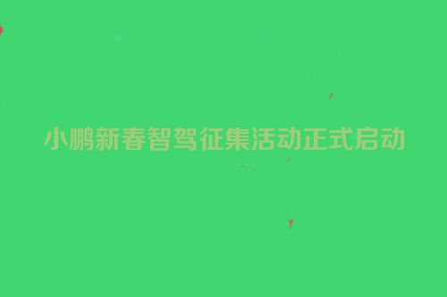 小鹏新春智驾征集活动正式启动