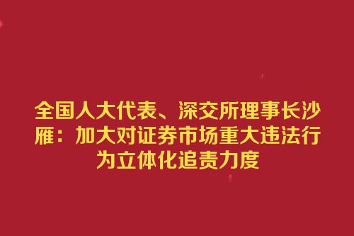 全国人大代表、深交所理事长沙雁：加大对证券市场重大违法行为立体化追责力度