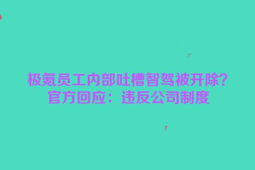 极氪员工内部吐槽智驾被开除？官方回应：违反公司制度