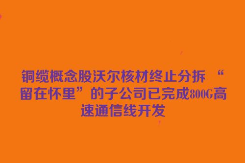 铜缆概念股沃尔核材终止分拆 “留在怀里”的子公司已完成800G高速通信线开发