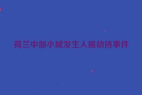 荷兰中部小城发生人质劫持事件