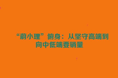 “蔚小理”俯身：从坚守高端到向中低端要销量