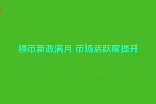 楼市新政满月 市场活跃度提升